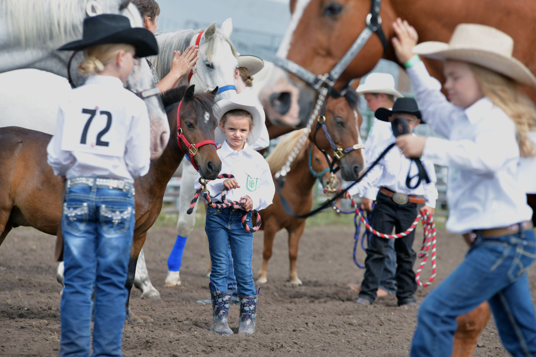4-H Achievement Days